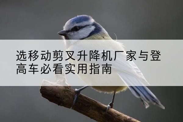 大冶电动升降机厂家-选移动剪叉升降机厂家与登高车必看实用指南