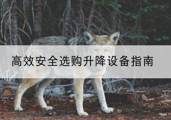 大冶升降货梯厂家推荐-*安全选购升降设备指南