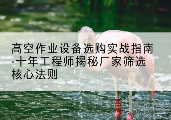 大冶剪叉式升降机厂家-高空作业设备选购实战指南-十年工程师揭秘厂家筛选核心法则